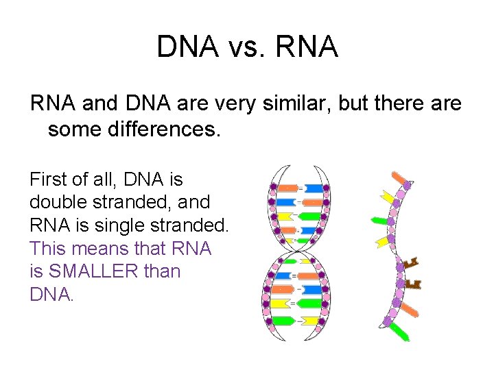 DNA vs. RNA and DNA are very similar, but there are some differences. First