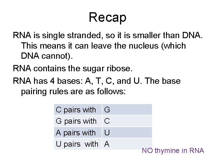 Recap RNA is single stranded, so it is smaller than DNA. This means it