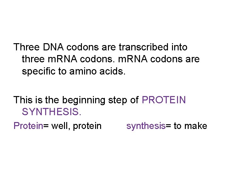 Three DNA codons are transcribed into three m. RNA codons are specific to amino