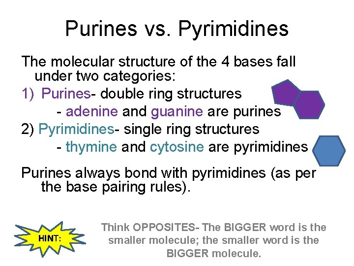 Purines vs. Pyrimidines The molecular structure of the 4 bases fall under two categories: