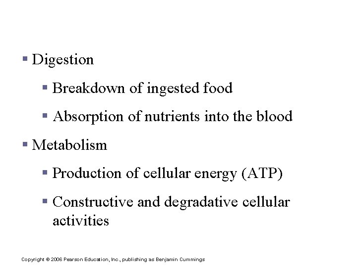 The Digestive System and Body Metabolism § Digestion § Breakdown of ingested food §