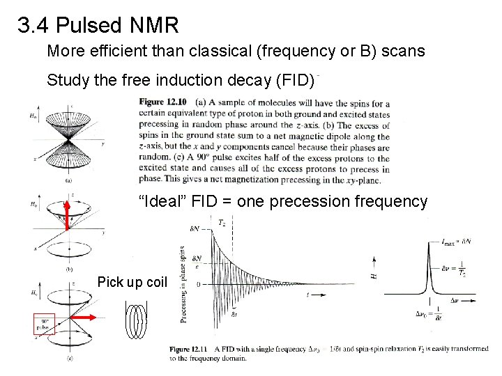 3. 4 Pulsed NMR More efficient than classical (frequency or B) scans Study the