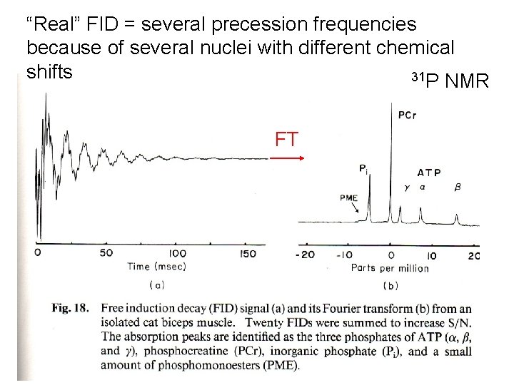 “Real” FID = several precession frequencies because of several nuclei with different chemical shifts