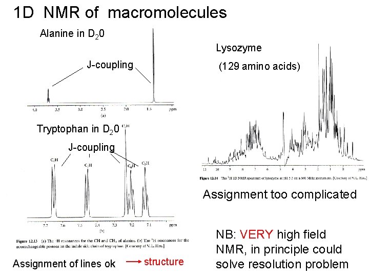 1 D NMR of macromolecules Alanine in D 20 Lysozyme J-coupling (129 amino acids)