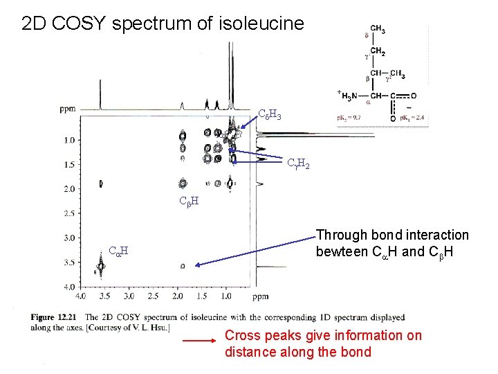 2 D COSY spectrum of isoleucine C d H 3 C g H 2