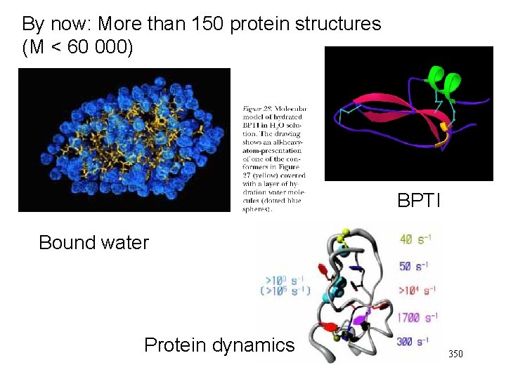 By now: More than 150 protein structures (M < 60 000) BPTI Bound water