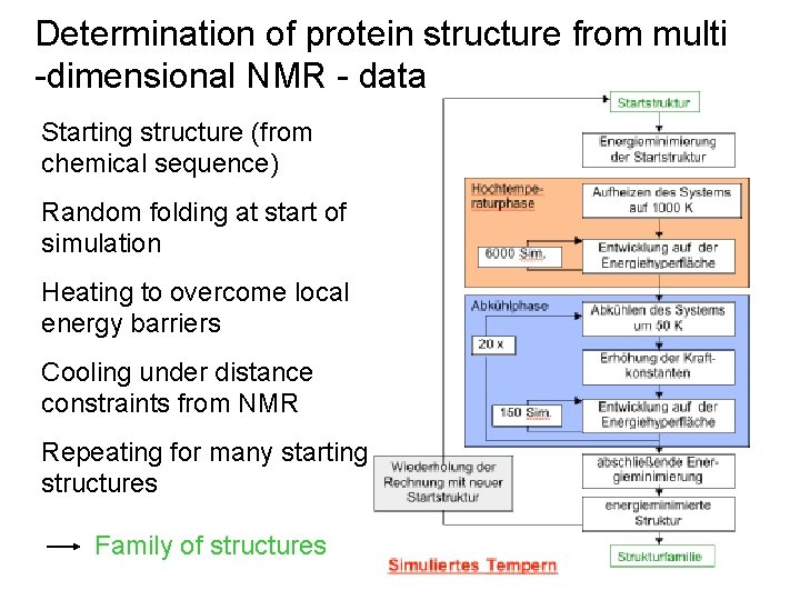 Determination of protein structure from multi -dimensional NMR - data Starting structure (from chemical