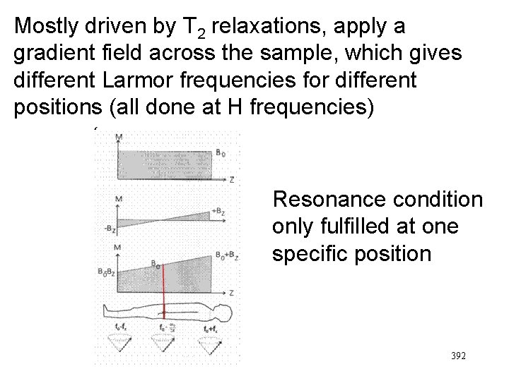 Mostly driven by T 2 relaxations, apply a gradient field across the sample, which
