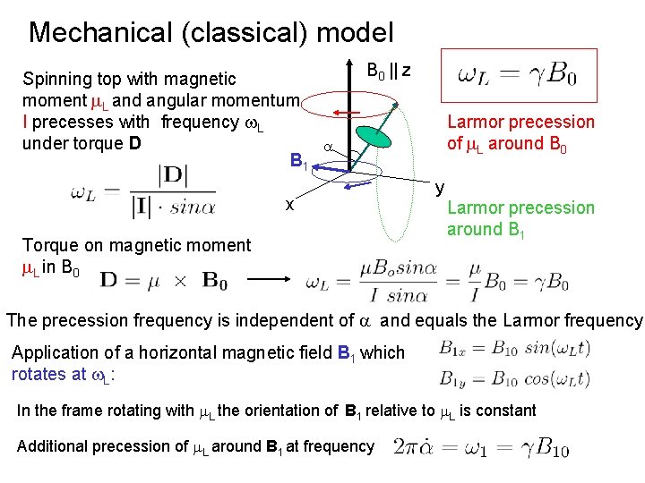 Mechanical (classical) model Spinning top with magnetic moment m. L and angular momentum I