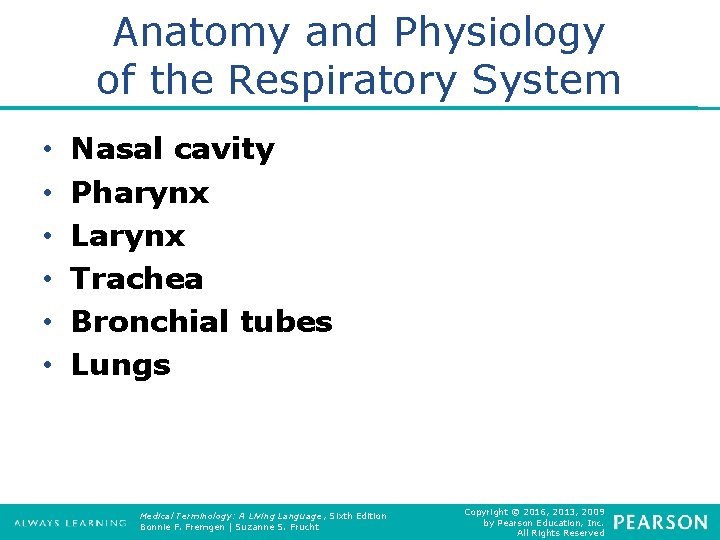 Anatomy and Physiology of the Respiratory System • • • Nasal cavity Pharynx Larynx