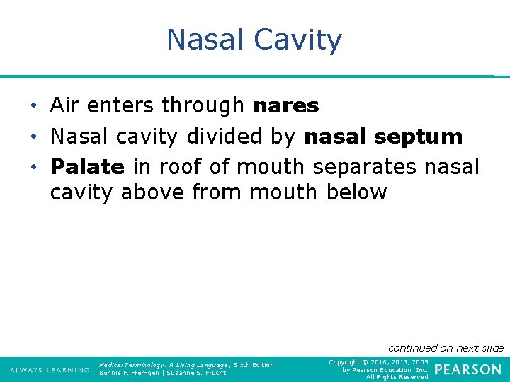 Nasal Cavity • Air enters through nares • Nasal cavity divided by nasal septum