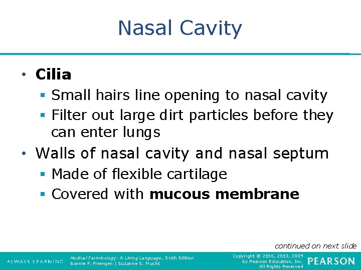 Nasal Cavity • Cilia § Small hairs line opening to nasal cavity § Filter
