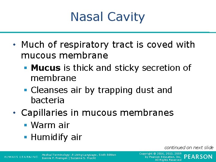 Nasal Cavity • Much of respiratory tract is coved with mucous membrane § Mucus