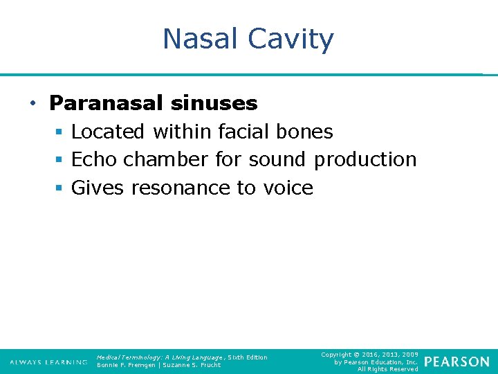 Nasal Cavity • Paranasal sinuses § Located within facial bones § Echo chamber for