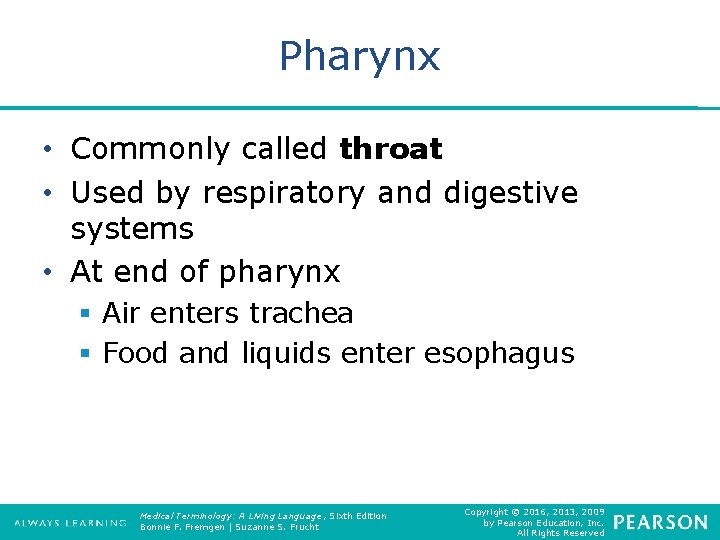 Pharynx • Commonly called throat • Used by respiratory and digestive systems • At