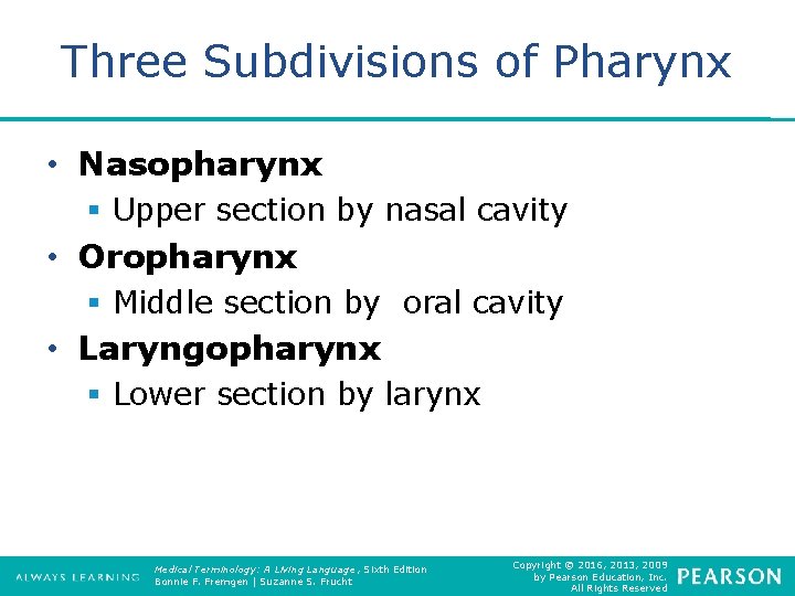 Three Subdivisions of Pharynx • Nasopharynx § Upper section by nasal cavity • Oropharynx