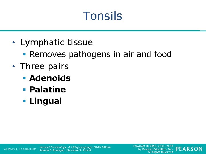 Tonsils • Lymphatic tissue § Removes pathogens in air and food • Three pairs
