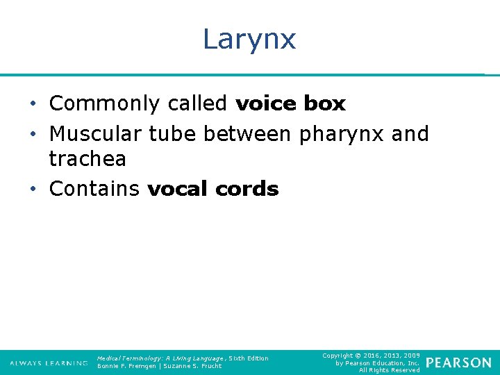 Larynx • Commonly called voice box • Muscular tube between pharynx and trachea •