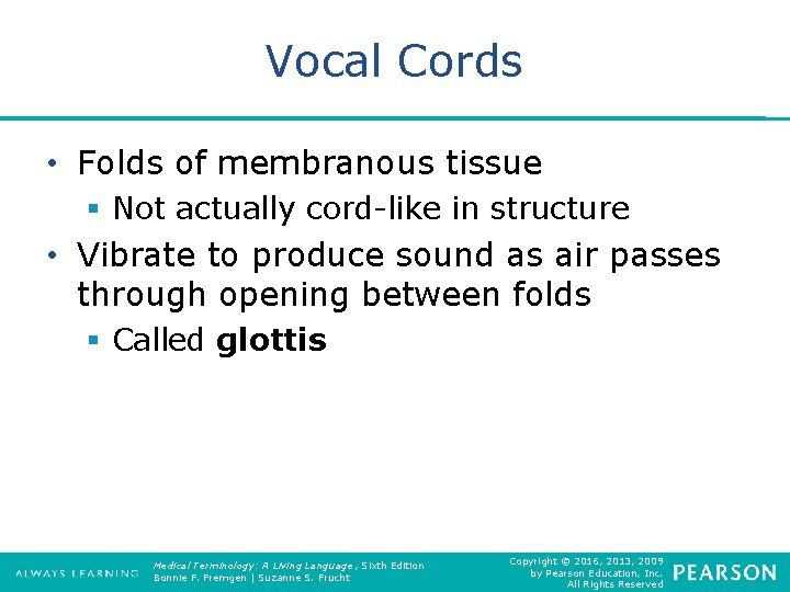 Vocal Cords • Folds of membranous tissue § Not actually cord-like in structure •