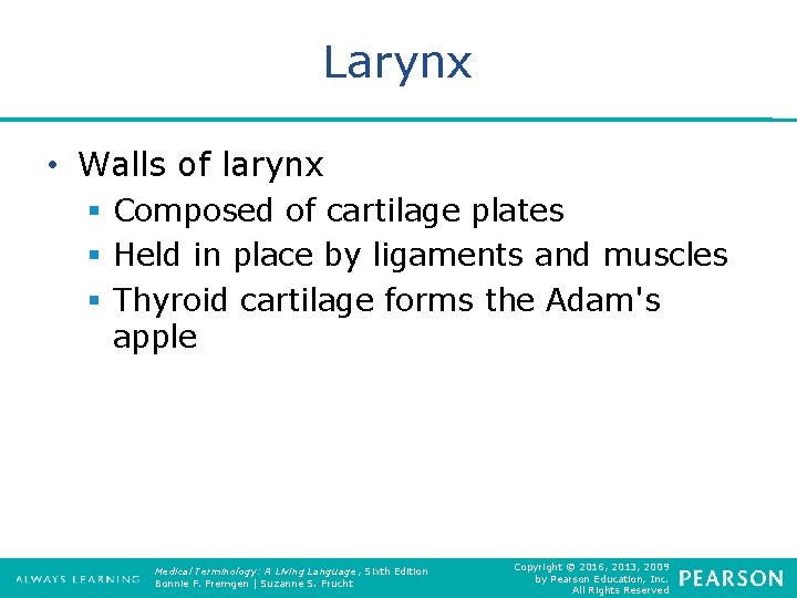 Larynx • Walls of larynx § Composed of cartilage plates § Held in place