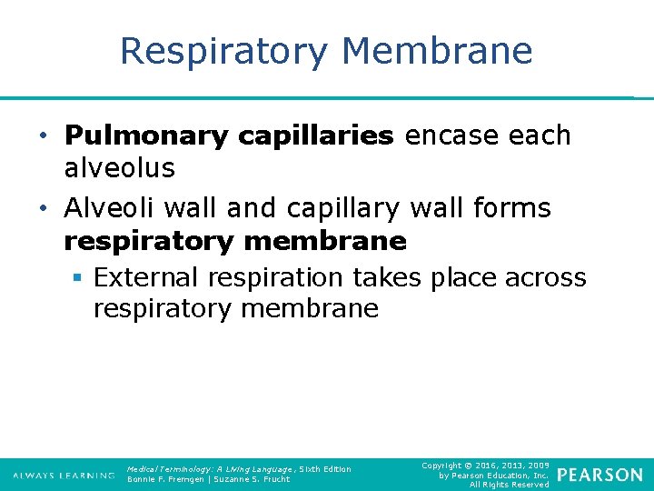 Respiratory Membrane • Pulmonary capillaries encase each alveolus • Alveoli wall and capillary wall
