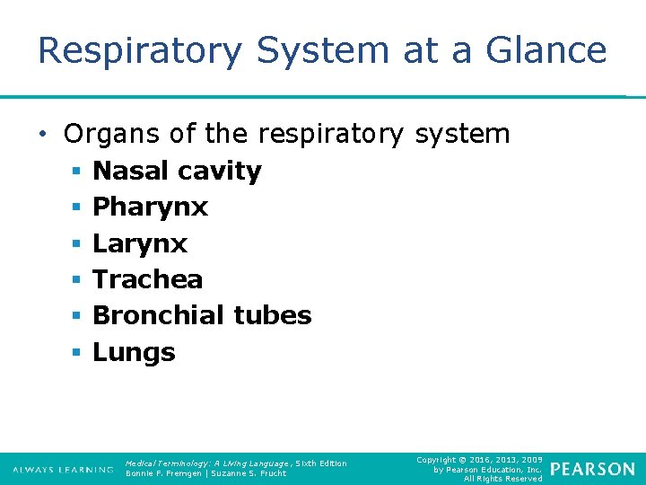 Respiratory System at a Glance • Organs of the respiratory system § § §