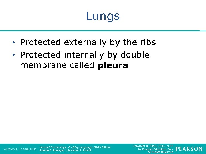 Lungs • Protected externally by the ribs • Protected internally by double membrane called
