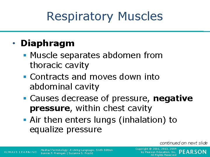 Respiratory Muscles • Diaphragm § Muscle separates abdomen from thoracic cavity § Contracts and