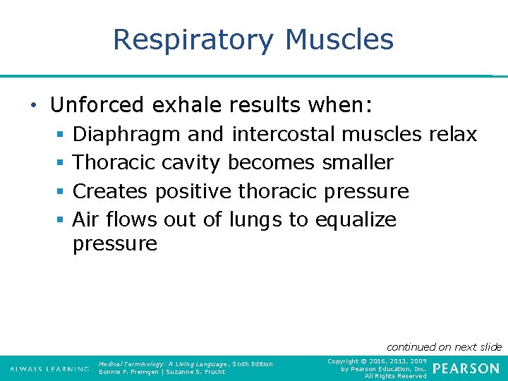 Respiratory Muscles • Unforced exhale results when: § § Diaphragm and intercostal muscles relax