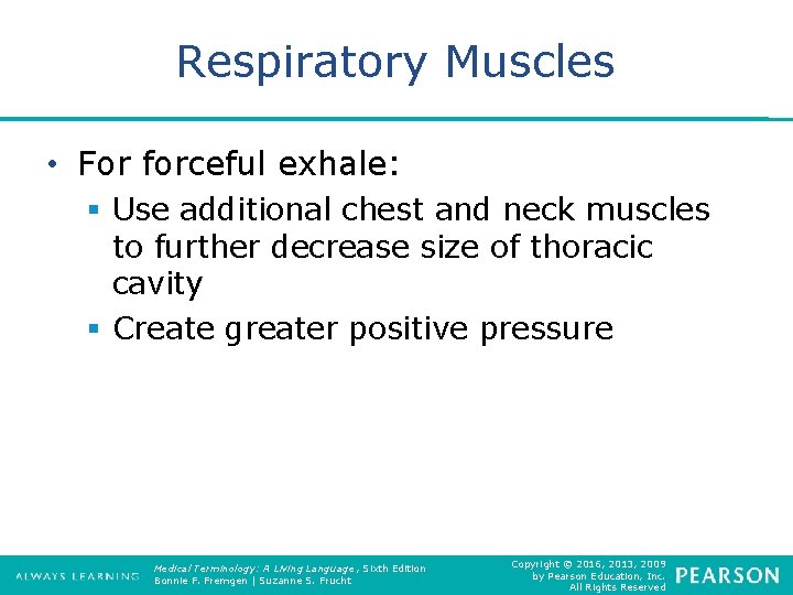Respiratory Muscles • For forceful exhale: § Use additional chest and neck muscles to