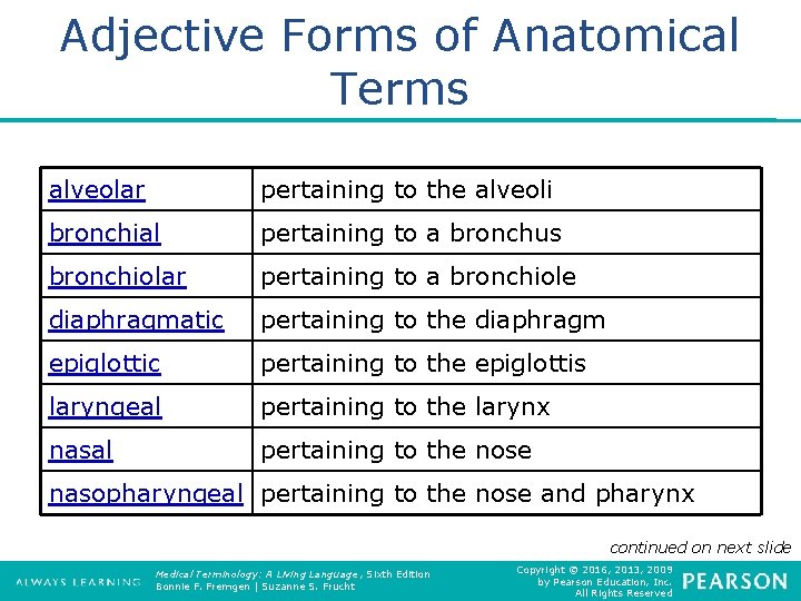 Adjective Forms of Anatomical Terms alveolar pertaining to the alveoli bronchial pertaining to a