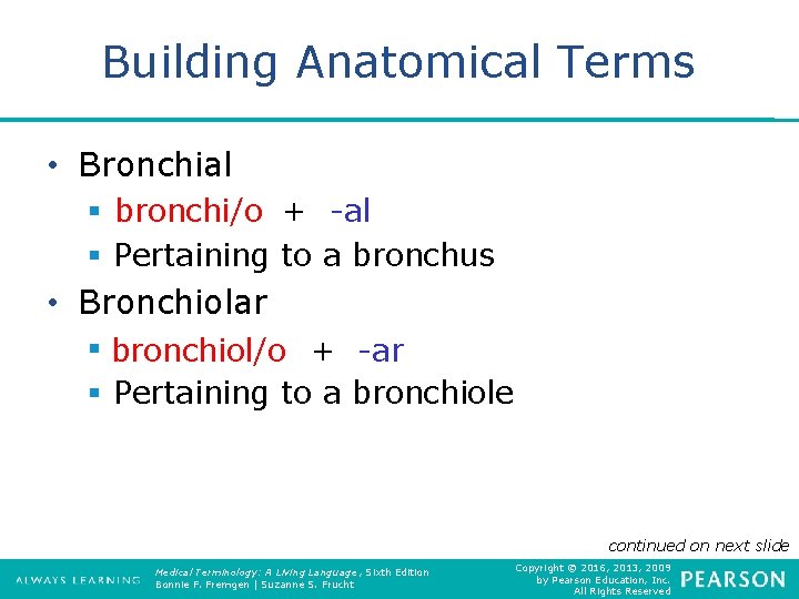 Building Anatomical Terms • Bronchial § bronchi/o + -al § Pertaining to a bronchus