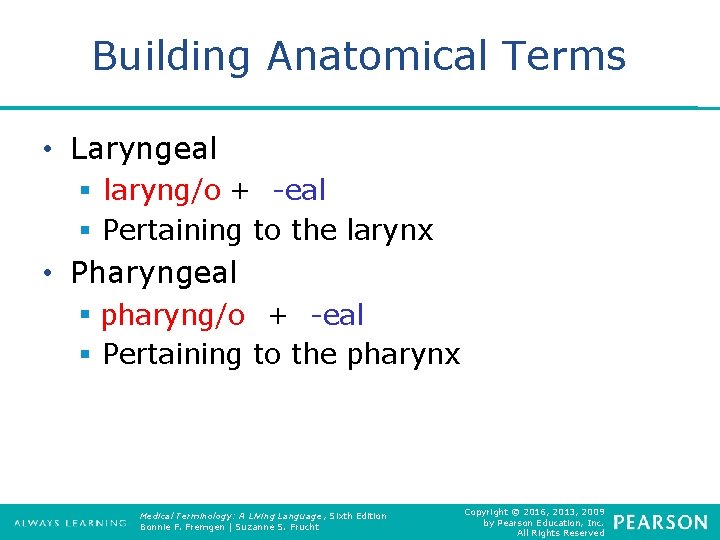 Building Anatomical Terms • Laryngeal § laryng/o + -eal § Pertaining to the larynx