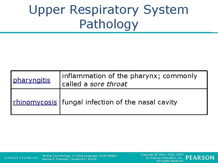 Upper Respiratory System Pathology pharyngitis inflammation of the pharynx; commonly called a sore throat