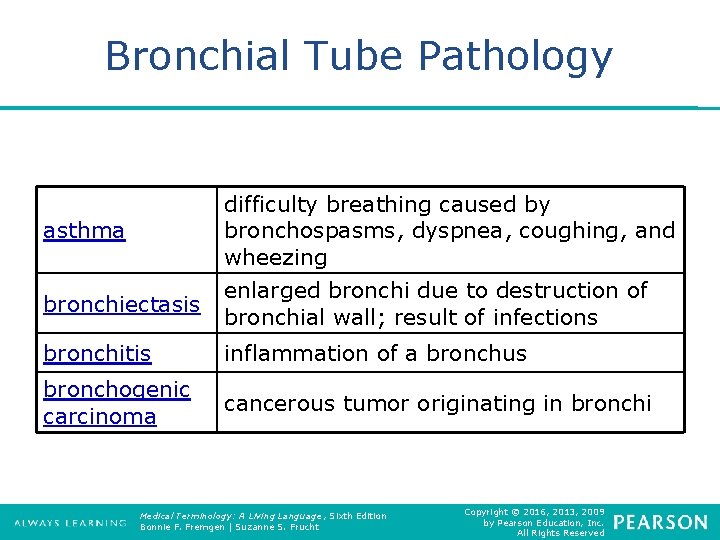 Bronchial Tube Pathology asthma difficulty breathing caused by bronchospasms, dyspnea, coughing, and wheezing bronchiectasis