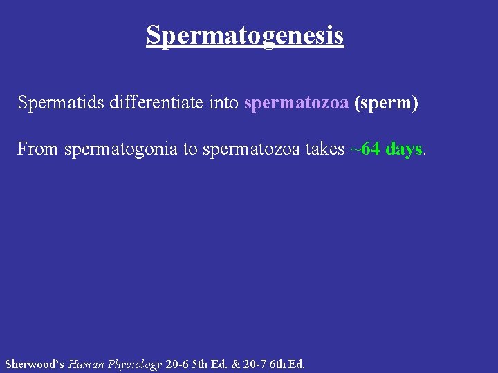 Spermatogenesis Spermatids differentiate into spermatozoa (sperm) From spermatogonia to spermatozoa takes ~64 days. Sherwood’s Spermatogenesis Spermatids differentiate into spermatozoa (sperm) From spermatogonia to spermatozoa takes ~64 days. Sherwood’s