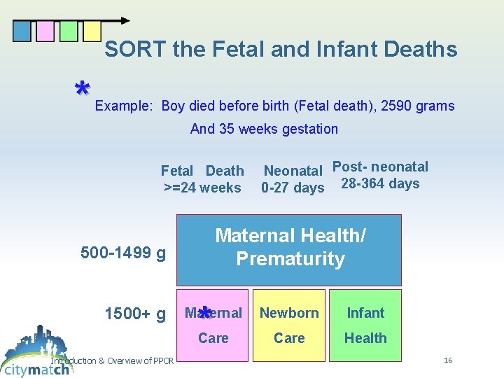 SORT the Fetal and Infant Deaths * Example: Boy died before birth (Fetal death),