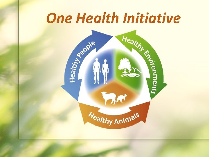 One Health Initiative 