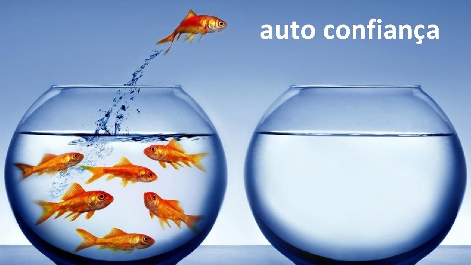 auto confiança auto confiança