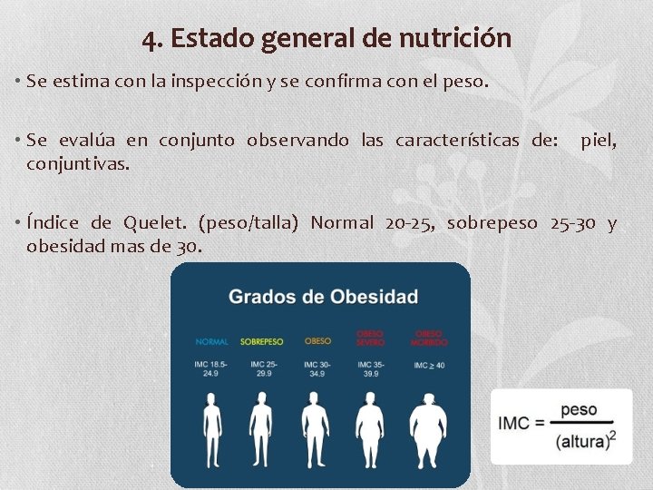 4. Estado general de nutrición • Se estima con la inspección y se confirma