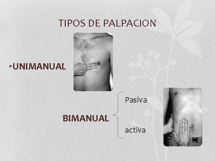 TIPOS DE PALPACION • UNIMANUAL Pasiva BIMANUAL activa 