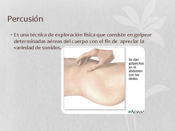 Percusión • Es una técnica de exploración física que consiste en golpear determinadas aéreas