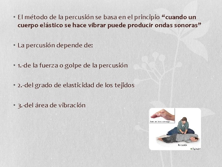  • El método de la percusión se basa en el principio “cuando un