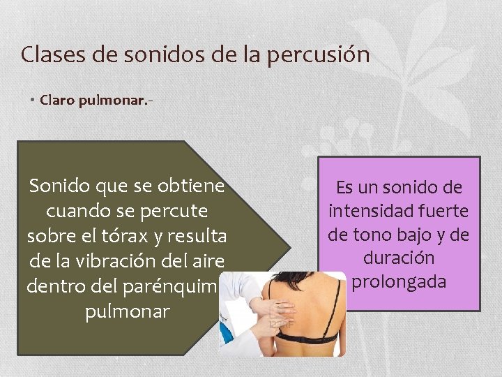 Clases de sonidos de la percusión • Claro pulmonar. - Sonido que se obtiene