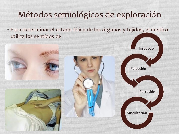 Métodos semiológicos de exploración • Para determinar el estado físico de los órganos y