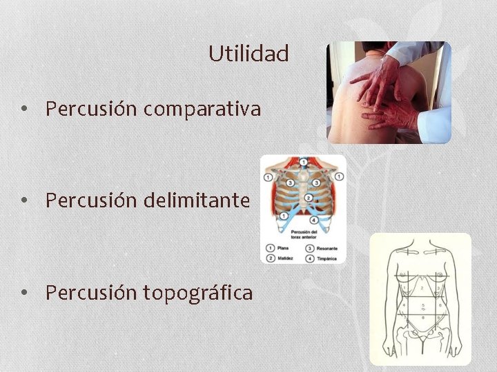 Utilidad • Percusión comparativa • Percusión delimitante • Percusión topográfica 