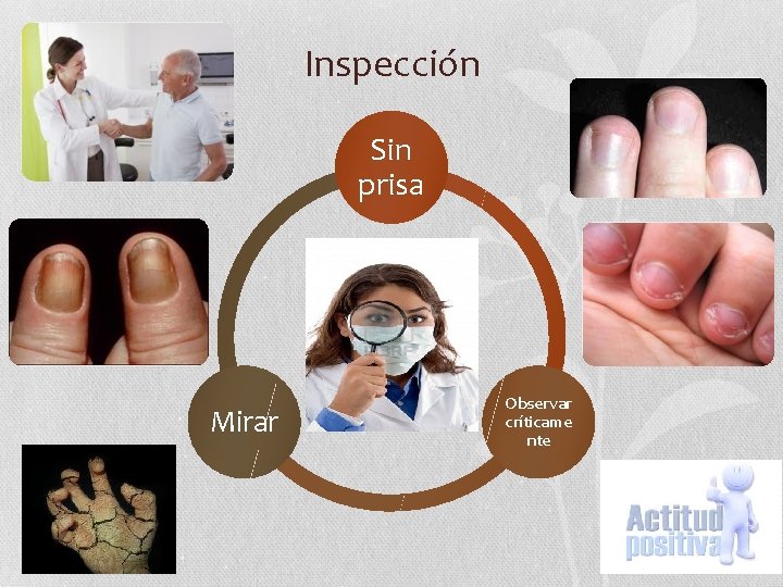 Inspección Sin prisa Mirar Observar críticame nte 