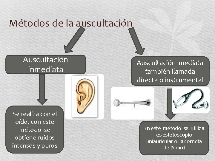 Métodos de la auscultación Auscultación inmediata Se realiza con el oído, con este método