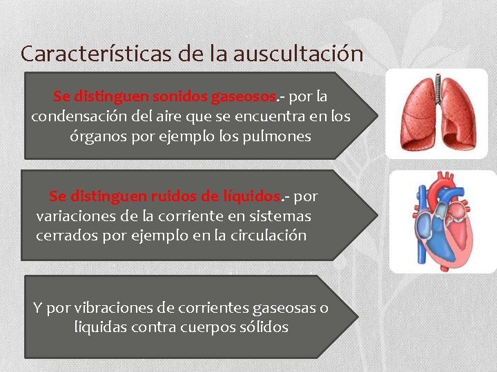 Características de la auscultación Se distinguen sonidos gaseosos. - por la condensación del aire