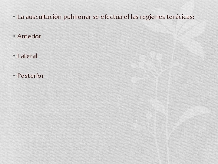  • La auscultación pulmonar se efectúa el las regiones torácicas: • Anterior •